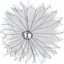 Dandelion tattoo design idea