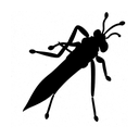 grasshopper tattoo design idea