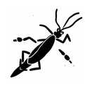 grasshopper tattoo design idea