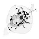Ladybug tattoo design idea