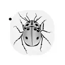 Ladybug tattoo design idea