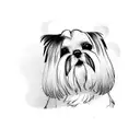 a shih tzu high fiving a human  tattoo design idea