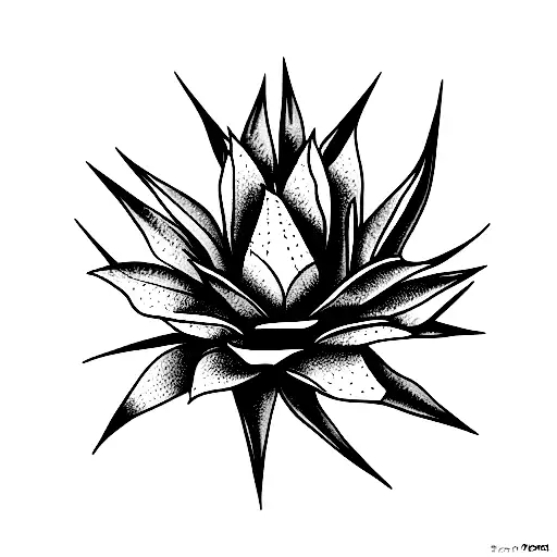 agave with a hummingbird tattoo design idea