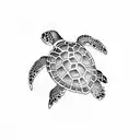 sea turtle  tattoo design idea