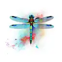 Dragonfly tattoo design idea