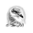 seagull  tattoo design idea