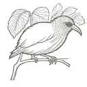 kiwi bird tattoo design idea