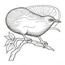 kiwi bird tattoo design idea