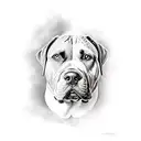 Boerbull and rottweiler mix breed dog tattoo design idea