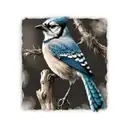blue jay bird tattoo design idea