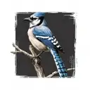 blue jay bird tattoo design idea