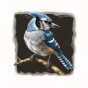 blue jay bird tattoo design idea