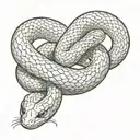 two snakes coiled and intertinwed spinning once around the arm tail on bottom face on top biting  tattoo design idea