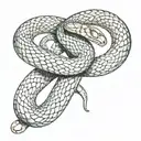 two snakes coiled and intertinwed spinning once around the arm tail on bottom face on top biting  tattoo design idea