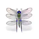 dragonfly tattoo design idea