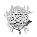 hydrangea , king protea, succulent, cobra snake , garden tattoo design idea