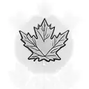 canada flag Maple Leaf tattoo design idea