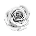 snake with rose tattoo design idea