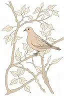 mourning dove sitting on a maple branch representing tattoo design idea