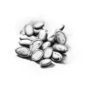 cocoa beans tattoo design idea