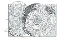 fibonacci spiral tattoo design idea