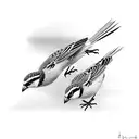 3 sparrows  tattoo design idea