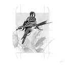 3 sparrows  tattoo design idea