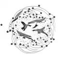 An intricate chain breaking apart, revealing a flock of birds in flight, symbolizing the release from constraints tattoo design idea