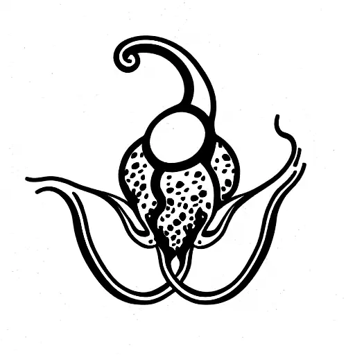 pulpo vulva tattoo design idea