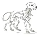 Dog skeleton tattoo design idea