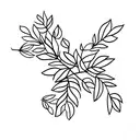 aspen branch with mountain laurel tattoo design idea