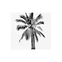 Palm Tree tattoo design idea