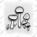 Mushroom, 3D tattoo design idea