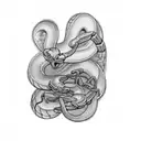 Snake fighting Scorpion tattoo design idea