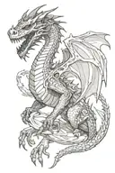 Well-designed, realistic dragons and death tattoo design idea