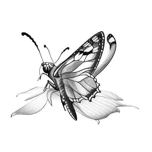 a profile view of a butterfly in the shape of a cursive capitol R tattoo design idea