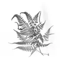 Fern tattoo design idea