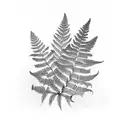 Fern tattoo design idea