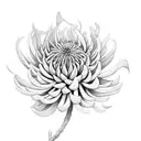 Chrysanthemum tattoo design idea