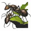 leafcutter ants tattoo design idea