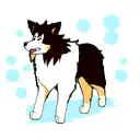 rough collie tattoo design idea