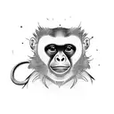 jungle, Costa Rica, capuccine Monkey, Sloth  tattoo design idea