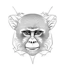 jungle, Costa Rica, capuccine Monkey, Sloth  tattoo design idea
