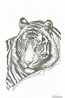Tiger Stripes tattoo design idea