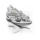 chameleon tattoo design idea