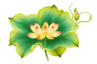 vietnamese lotus tattoo design idea