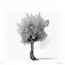 olive tree tattoo design idea