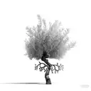 olive tree tattoo design idea