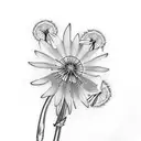 aster, snowdrop and dandelion bouquet tattoo design idea