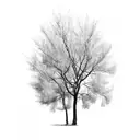 Cottonwood tree tattoo design idea